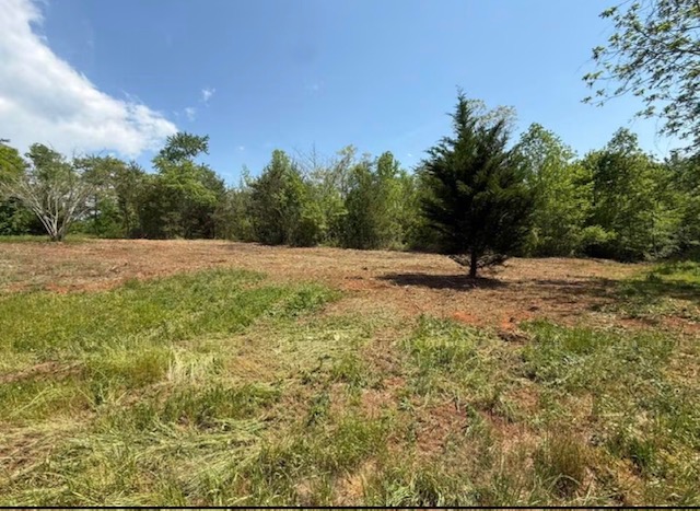 Open cleared field after forestry mulching