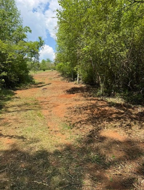 Cleared dirt path after roadside mulching