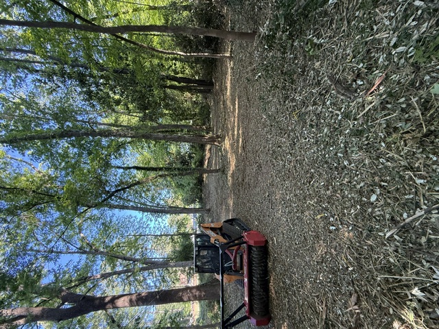 Forestry mulcher clearing a wooded lot in North Carolina