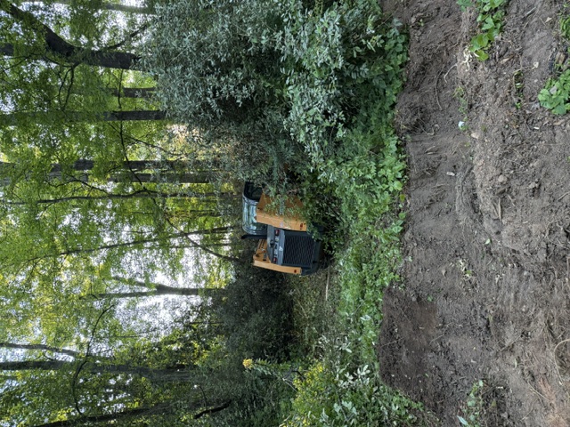 Skid steer mulcher working through brush